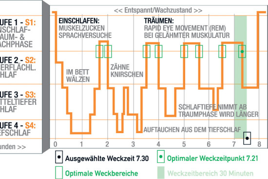 Schlafphasen Schlafzyklen